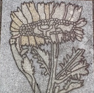 ���_������