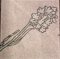 ���_������