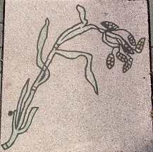 ���_������