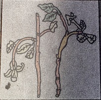 ���_������