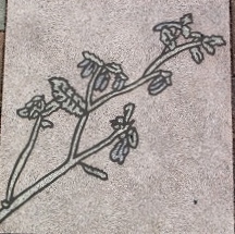 ���_������