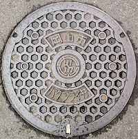 岡山市バタフライ弁