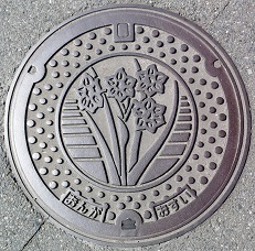 ���}���z�[��