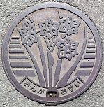 ���꒬�}���z�[��