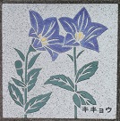 ����s����