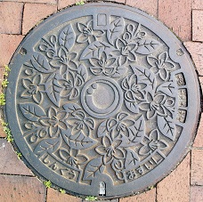 �V�{���}���z�[��