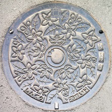 �V�{���}���z�[��