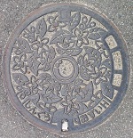 �V�{���}���z�[��