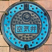 �V�{���}���z�[��