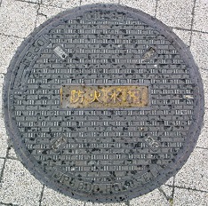 �a�̎R�s�h�ΐ���