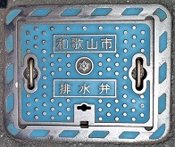 �a�̎R�s�r����