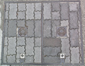 ���Ɍ������a