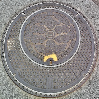 ���Ɍ����ɐ�㗬���扺�����}���z�[��