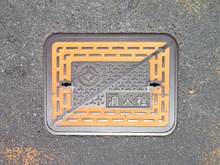 �s�c�s���ΐ�