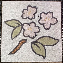 �F�J�s����