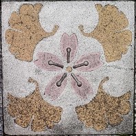 �F�J�s����