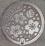 �ɐ��s�������}���z�[��