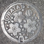 �ɐ��s�������}���z�[��