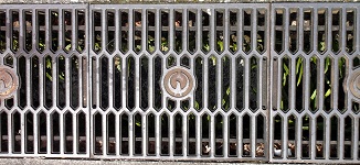 ���h�s���a�W