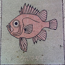 �V�{�s����