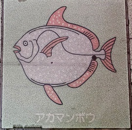 �V�{�s����