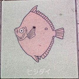 �V�{�s����