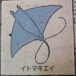 �V�{�s����