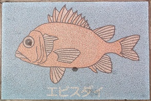 �V�{�s����