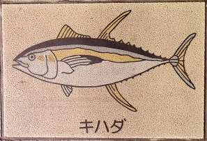 �V�{�s����