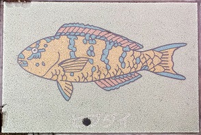 �V�{�s����