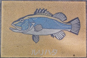 �V�{�s����