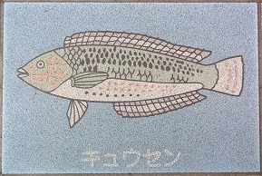 �V�{�s����