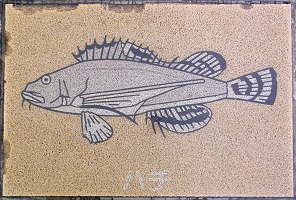 �V�{�s����