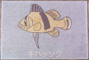 �V�{�s����