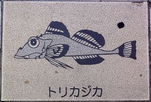 �V�{�s����