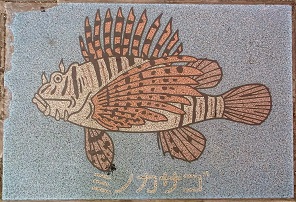 �V�{�s����