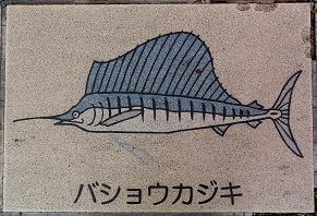 �V�{�s����