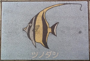 �V�{�s����