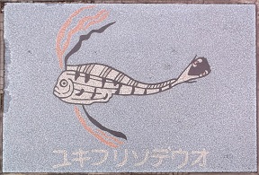 �V�{�s����