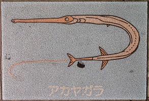 �V�{�s����