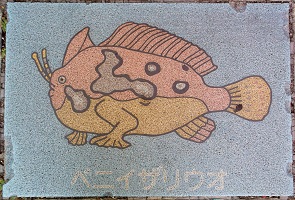 �V�{�s����