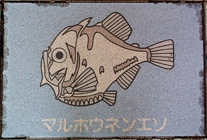 �V�{�s����