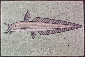 �V�{�s����