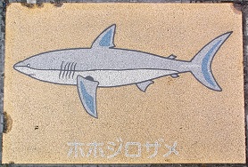 �V�{�s����