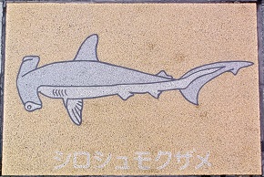 �V�{�s����