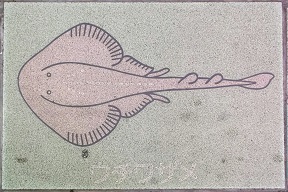 �V�{�s����