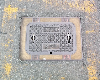 ���C�����ΐ�