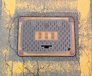 ���C�����ΐ�