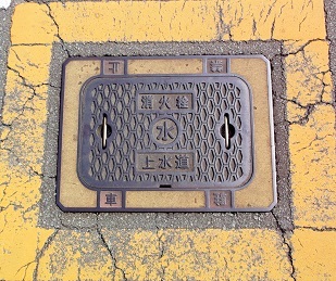 �ʏ钬���ΐ�