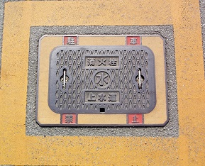 �ʏ钬���ΐ�